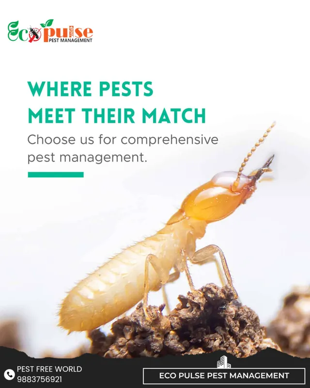 ECOPULSE PEST MANAGEMENT - 6