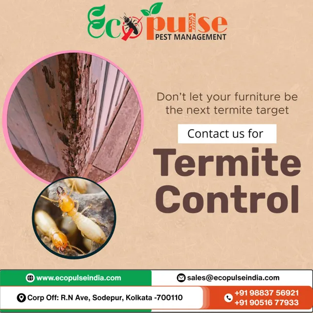 ECOPULSE PEST MANAGEMENT - 9