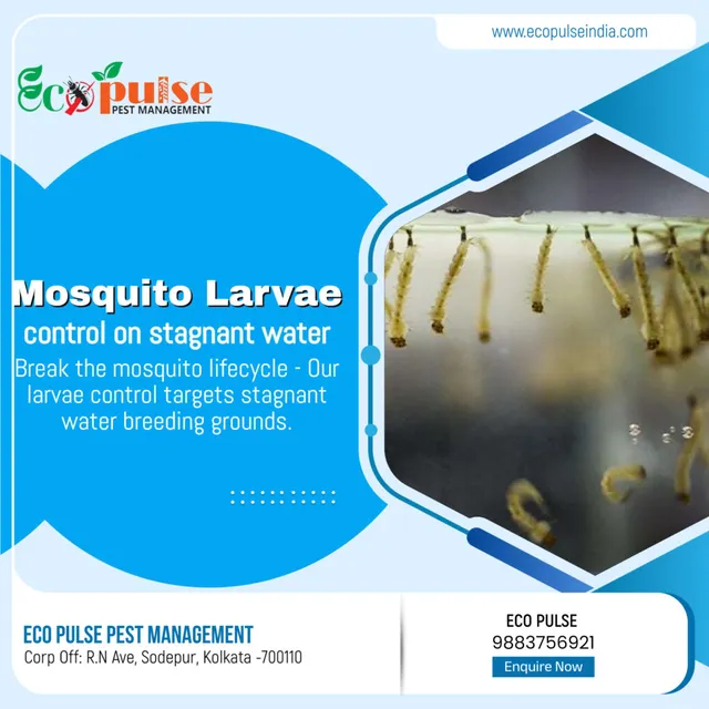 ECOPULSE PEST MANAGEMENT - 11