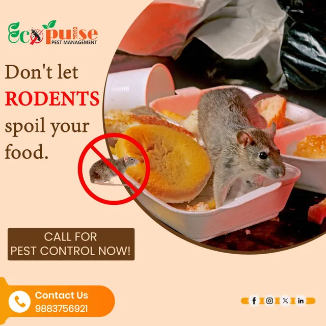 ECOPULSE PEST MANAGEMENT - 12