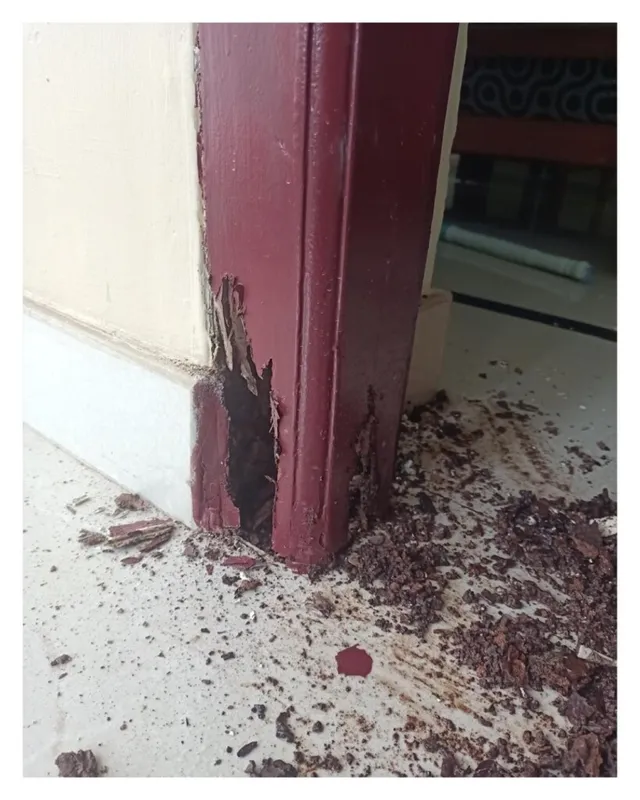 PLAN C CLEANING SOLUTIONS - 6