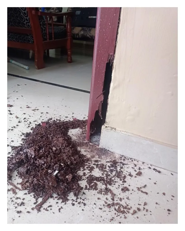 PLAN C CLEANING SOLUTIONS - 3