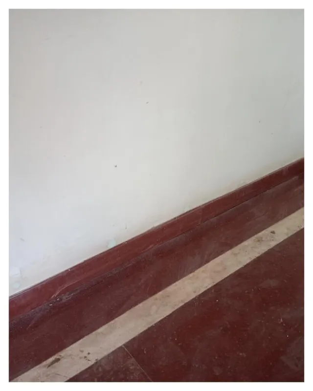 PLAN C CLEANING SOLUTIONS - 11