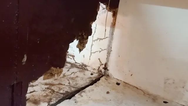 PLAN C CLEANING SOLUTIONS - 12