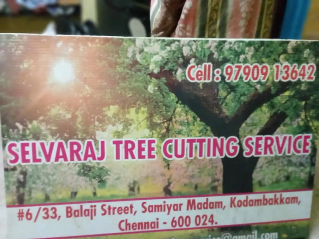 Selvaraj Tree Cutting Service | Tree Cutting Service