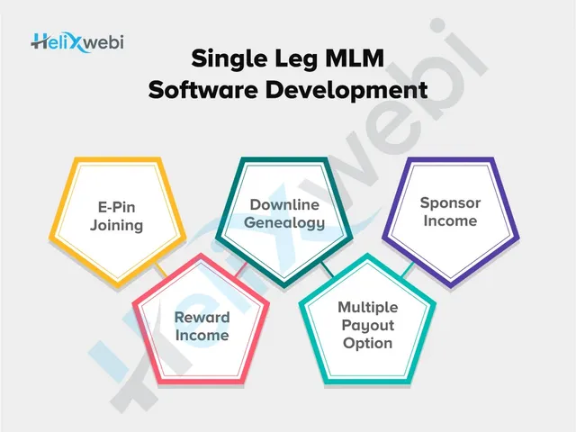 MLM Software Development Company From Surat, India - 3