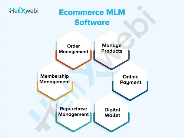MLM Software Development Company From Surat, India - 4