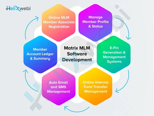 MLM Software Development Company From Surat, India - 8