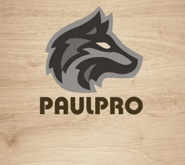 PaulPro Digital Marketing Agency