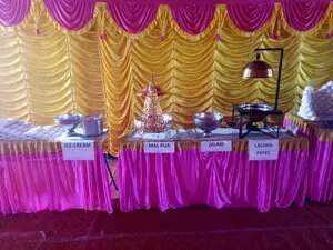 HOT FOOD CATERING ZONE - 79