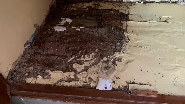 Jaya Enterprises Pest Management Services - 8