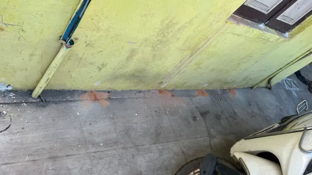 Jaya Enterprises Pest Management Services - 11