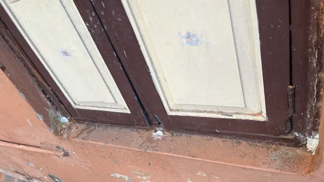 Jaya Enterprises Pest Management Services - 14