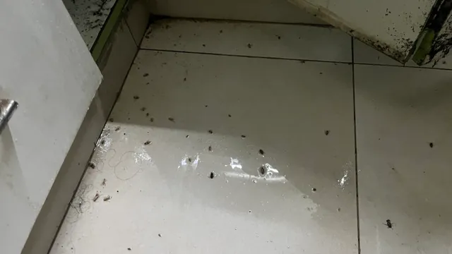 Jaya Enterprises Pest Management Services - 19