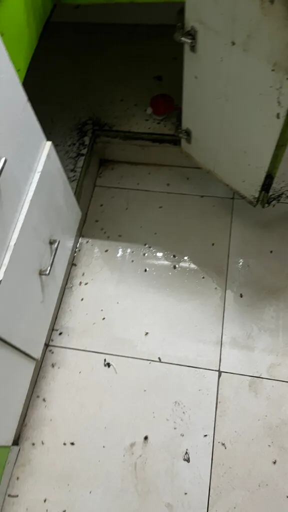 Jaya Enterprises Pest Management Services - 20