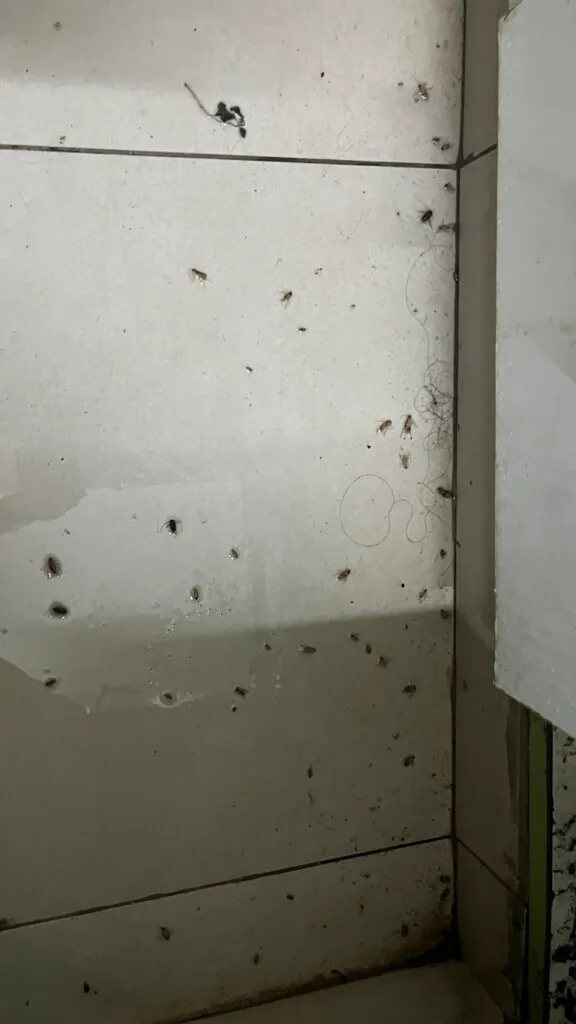 Jaya Enterprises Pest Management Services - 21