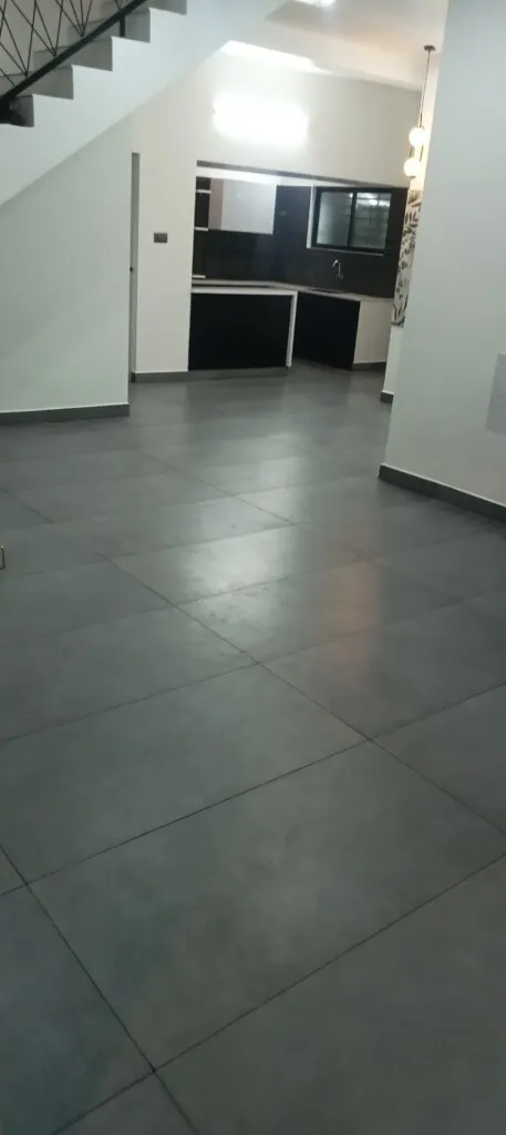 SS Cleaning Service - 3