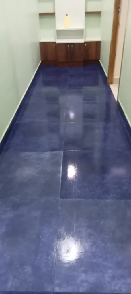 SS Cleaning Service - 4