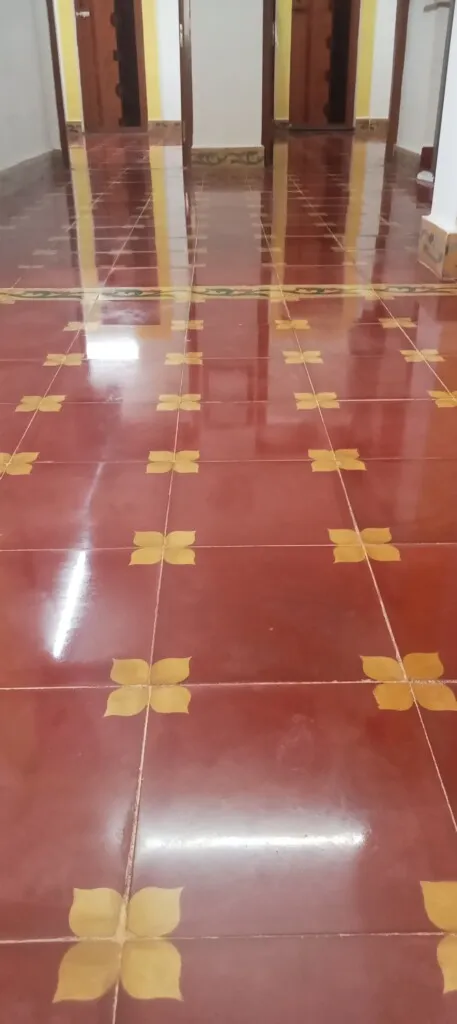 SS Cleaning Service - 12