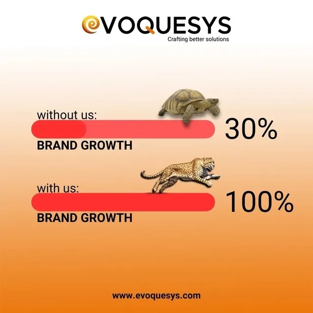 Evoquesys - 8