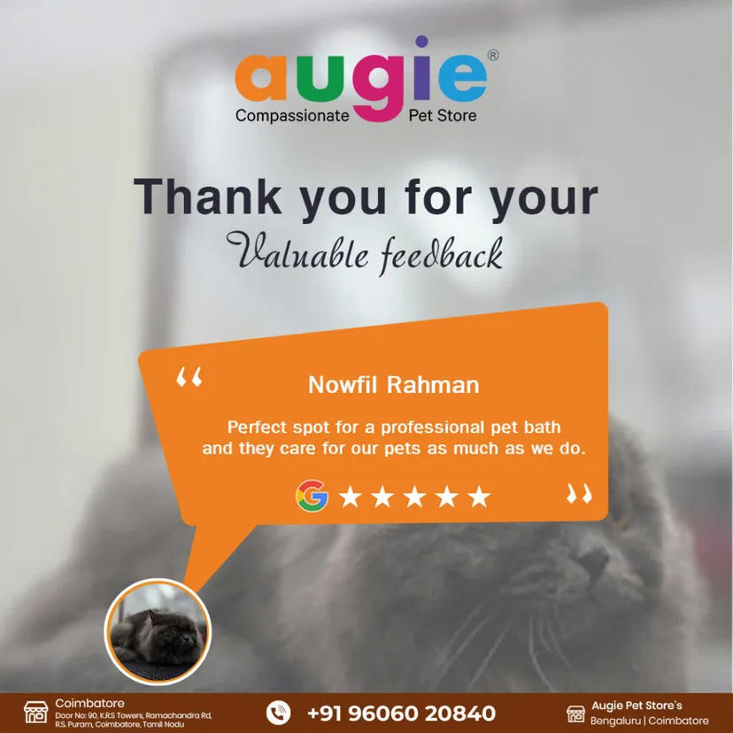 Augie Pets - Pet Shop | Pet Grooming | Vet Clinic