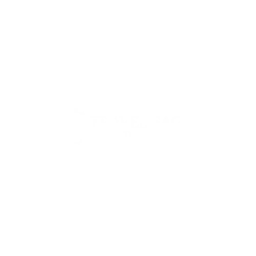 Travel Saga Tourism