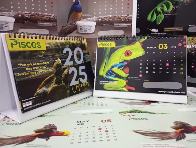 Surfowl Printing Solutions (kestopur) - 47