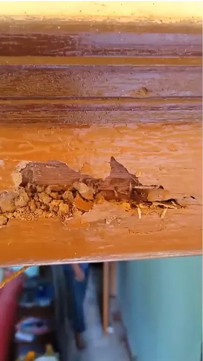 Kundu & Associates - 3