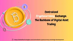 centralized cryptocurrency exchange development