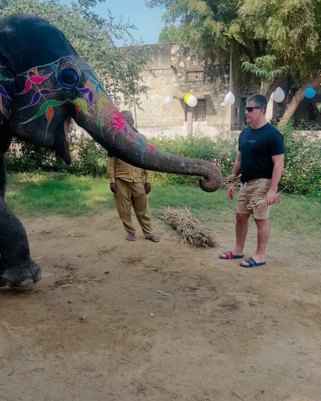 Elefriendride - The Best Elephant Ride in Jaipur - 3