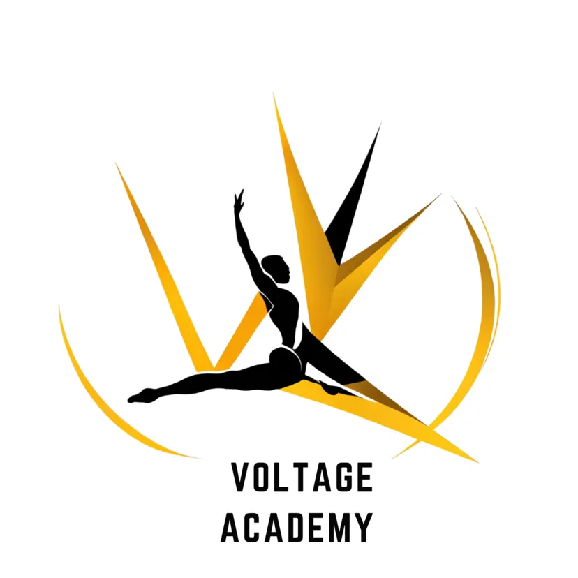 Voltage Academy