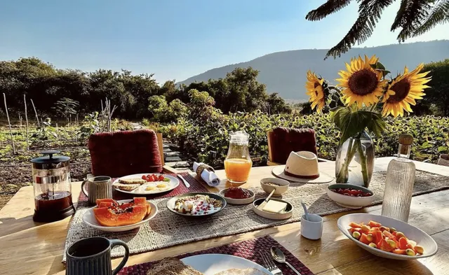 Dhyaana Farms - Luxury Boutique Farmstays - 3