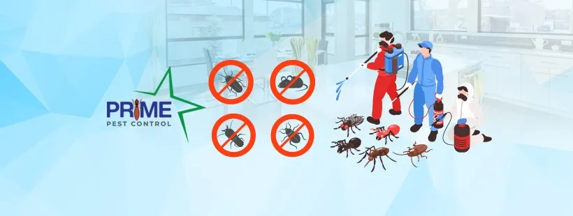 Prime Pest Control