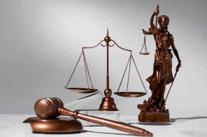 M.S. Maini & Associates