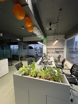 Online Printing & Packaging Solutions