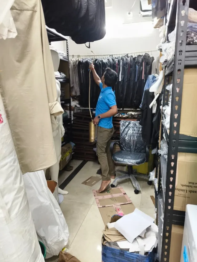 World safe pest control - 2