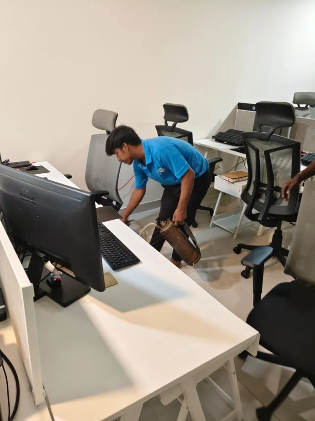 World safe pest control - 4