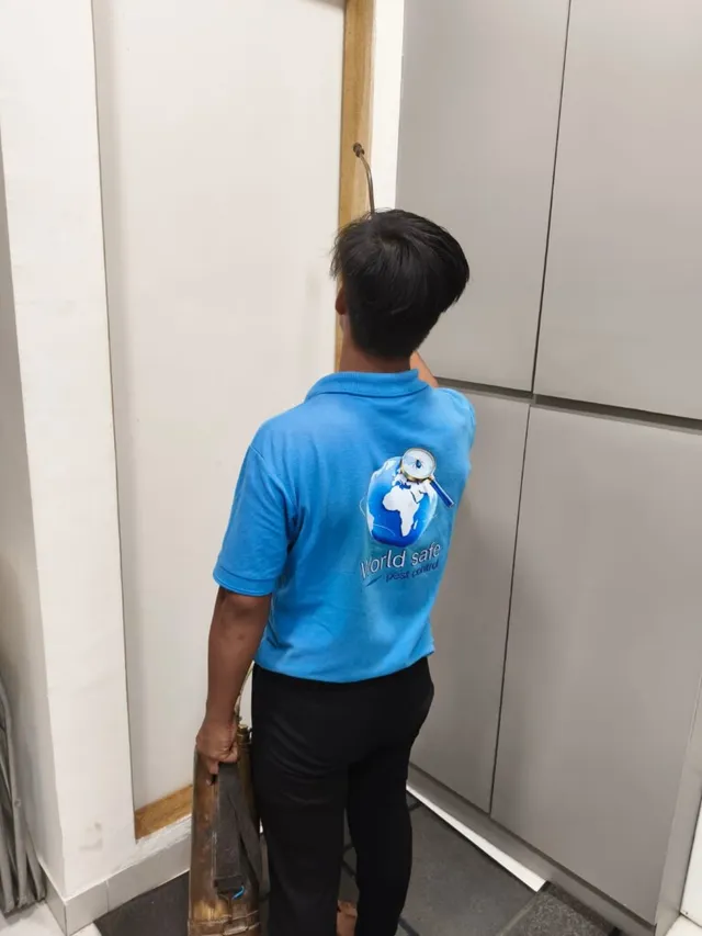 World safe pest control - 6