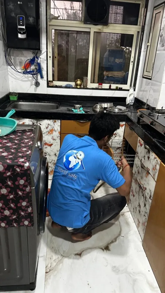 World safe pest control - 7