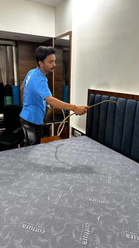 World safe pest control - 8