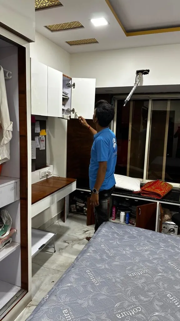 World safe pest control - 9