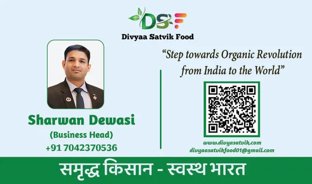 Divyaa Satvik Food - 3