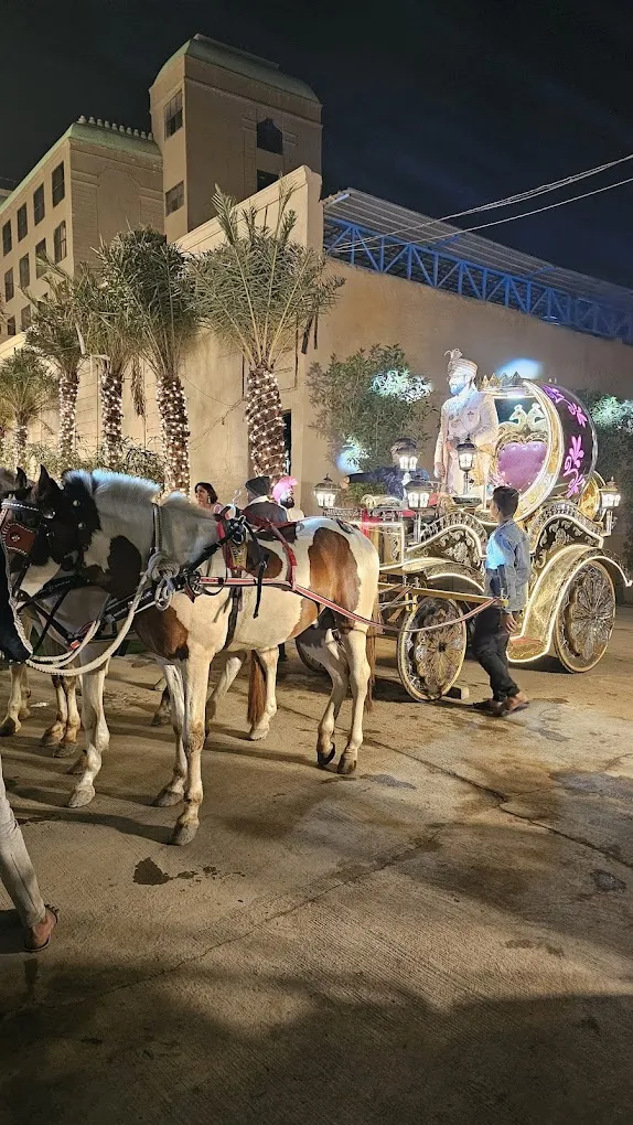 Praful Wedding Planner - 4