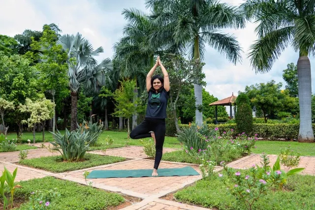 Vidyoga Ayurveda Solution (OPS) Pvt Ltd - 3