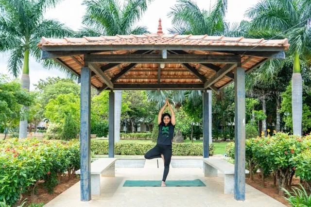 Vidyoga Ayurveda Solution (OPS) Pvt Ltd - 4