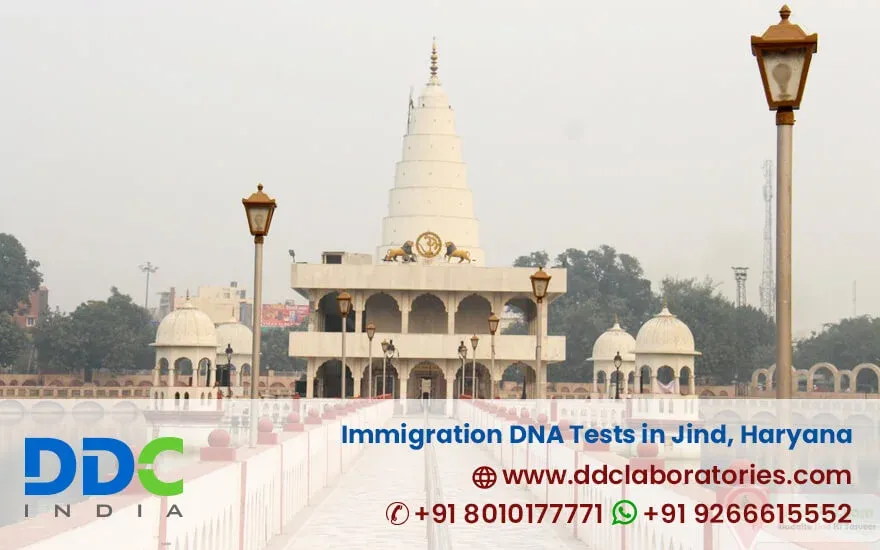 DDC Laboratories India