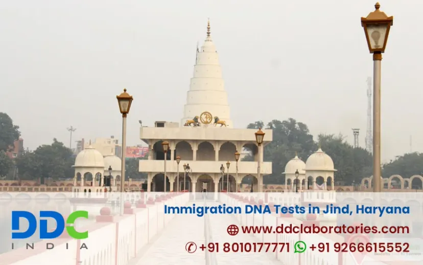 DDC Laboratories India