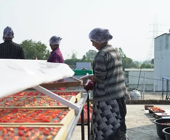 Raheja Solar Food Processing - 2