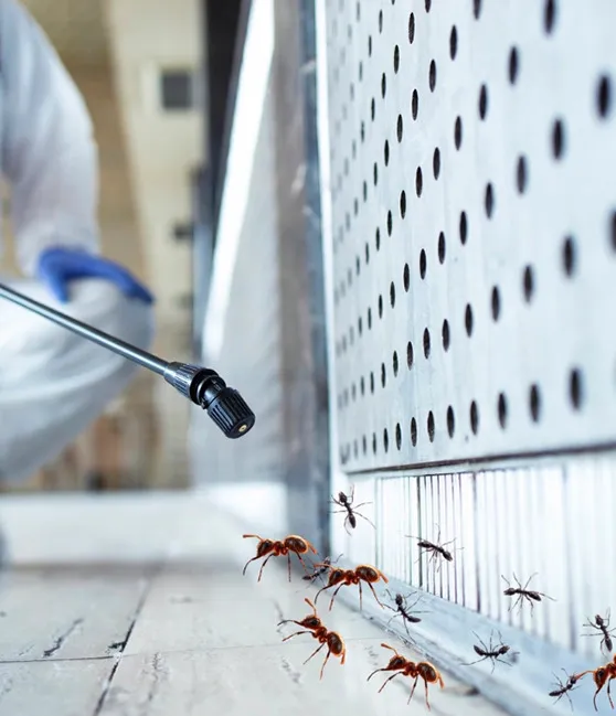 AJL Pest Control - 3