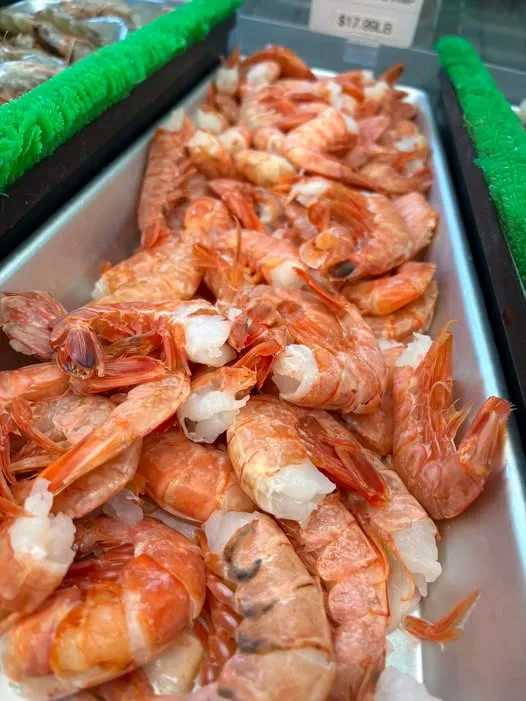 Resort De coracao - Calangute Goa - 2